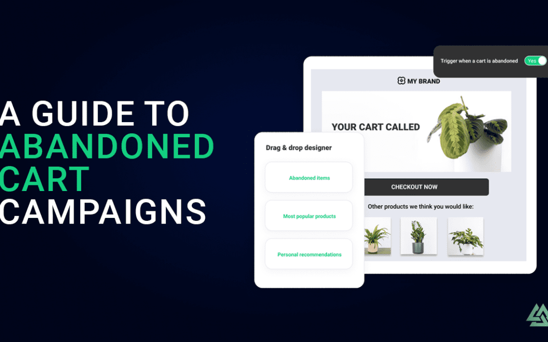 A Guide to Abandoned Cart Campaigns